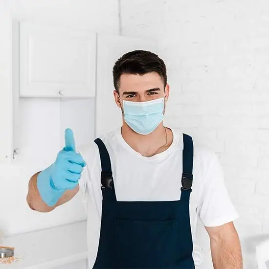 Pest control experts Mordialloc